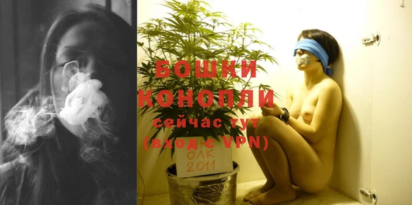 индика Наволоки