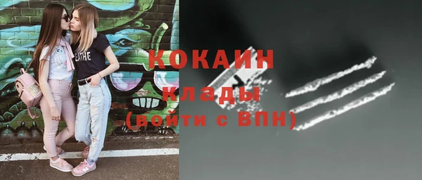 индика Наволоки
