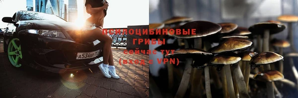 круглые Надым