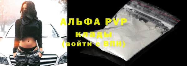 индика Наволоки