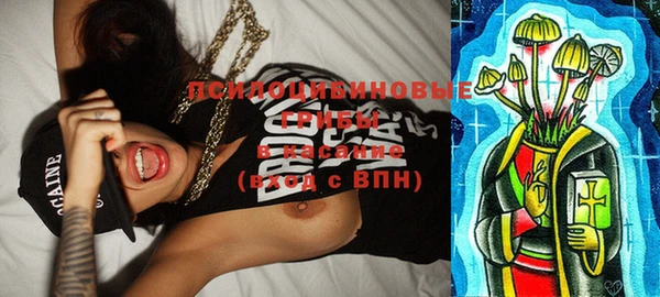 индика Наволоки
