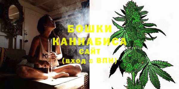 индика Наволоки