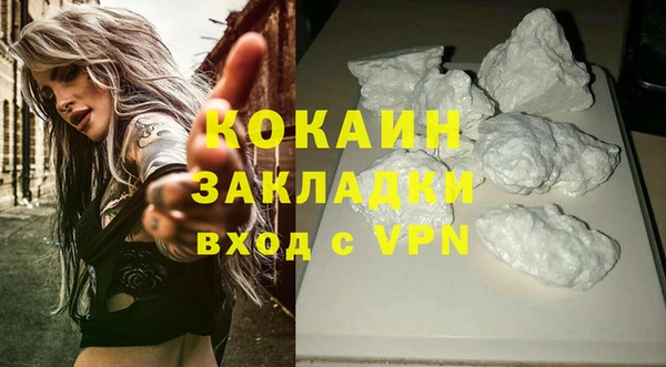 индика Наволоки
