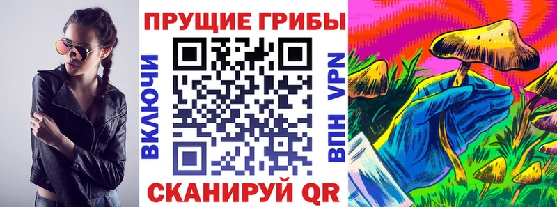 MEGA ТОР Гаджиево Псилоцибиновые грибы Psilocybine cubensis цены